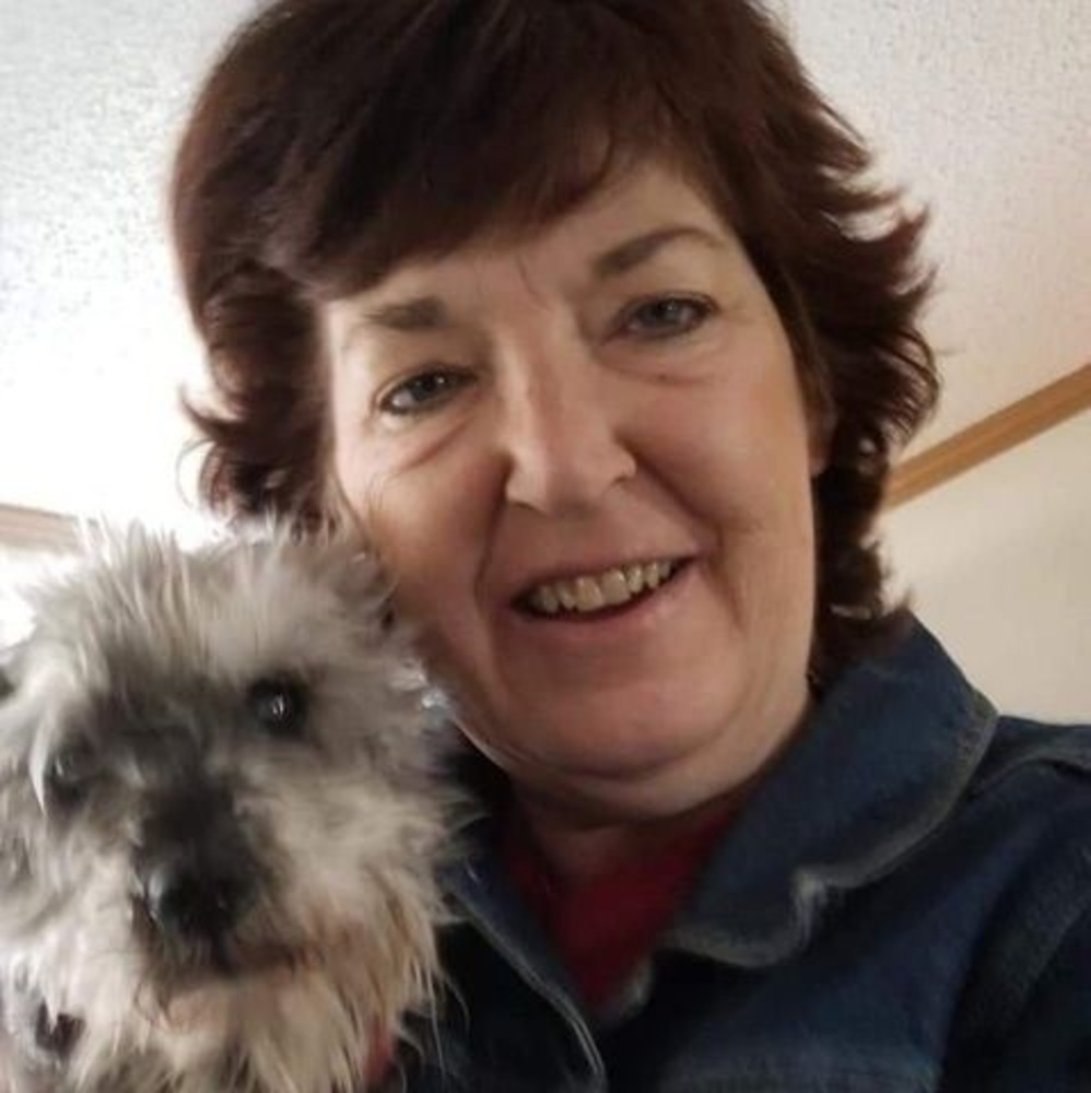 Meet your Posher, Dawn